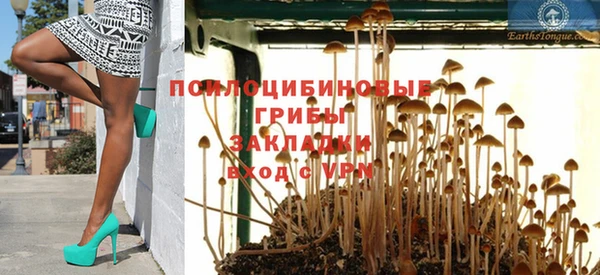 мяу мяу мука Приозерск
