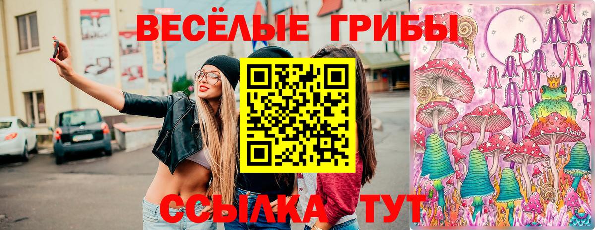 Галлюциногенные грибы GOLDEN TEACHER  Вход с VPN  Соликамск 
