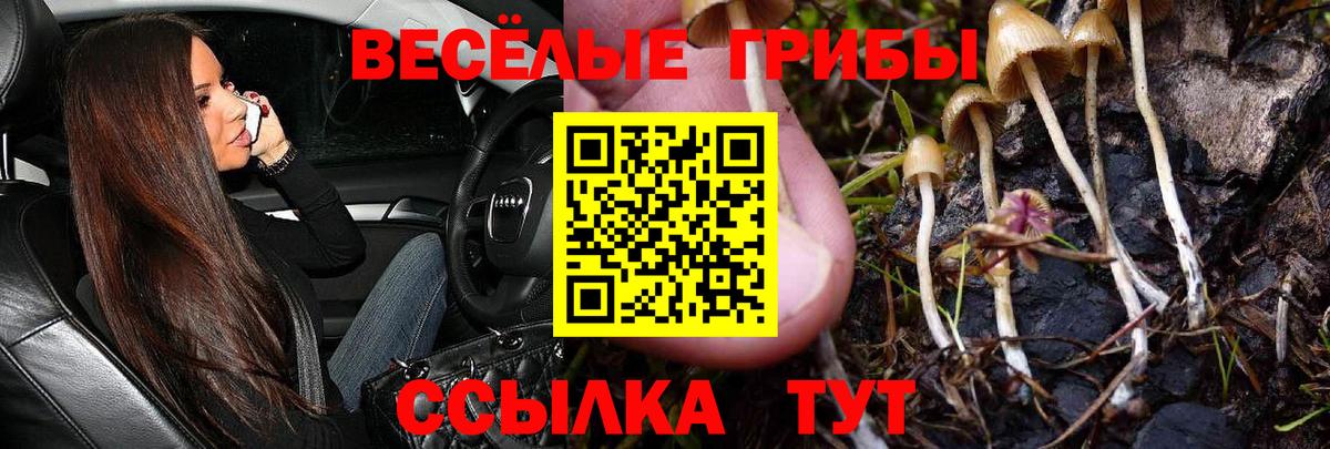 Галлюциногенные грибы прущие грибы Соликамск